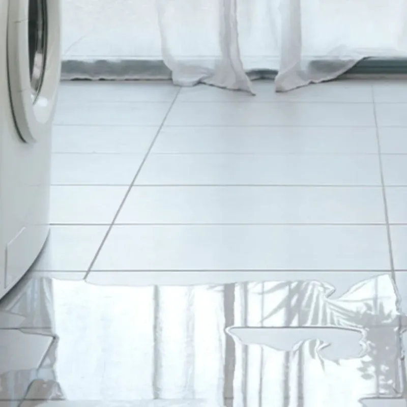 Appliance Leak Cleanup in Beverly Hills, FL