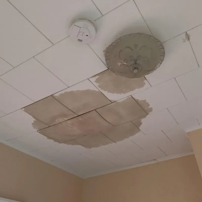 Ceiling Water Damage Repair in Beverly Hills, FL