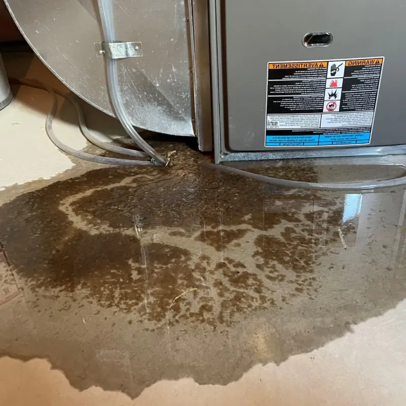 Pipe Burst and Leak Restoration in Beverly Hills, FL